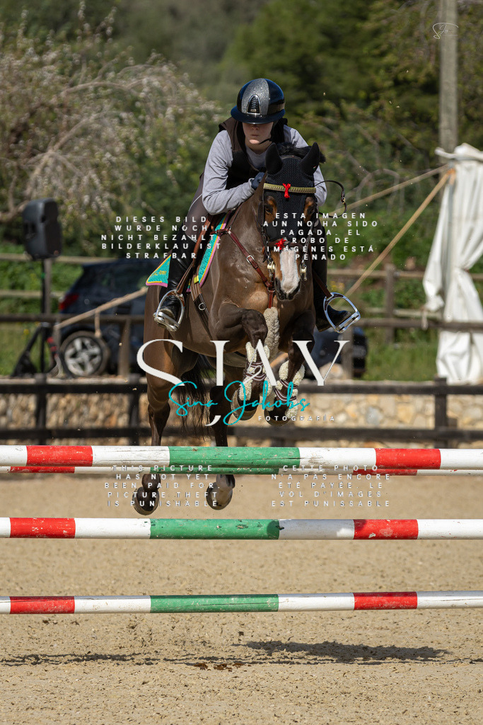 IMG_6742 | s-jay-photography - Realisiert mit Pictrs.com