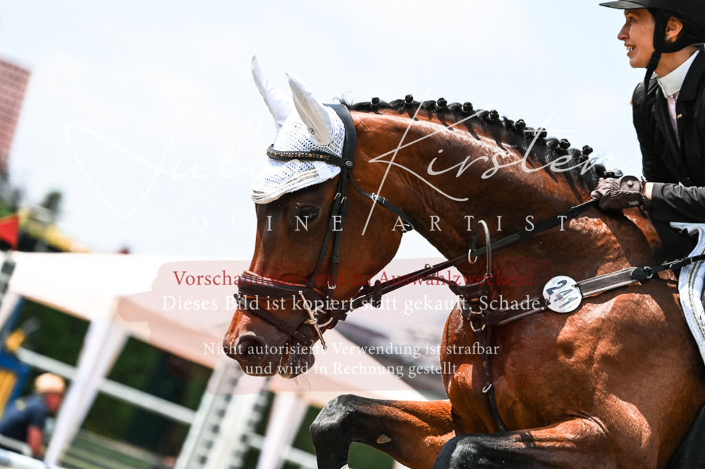 DSC_9387 | Pferde- und Turnierfotografie in Westsachsen. Pferdeportraits, Auftragszeichnungen und intuitive Kunst.