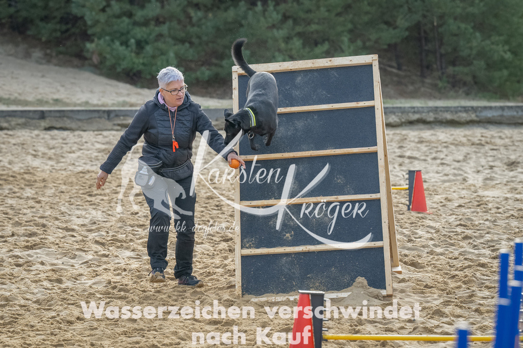 0902_ZZ91719-Bearbeitet | kk-dogfotos