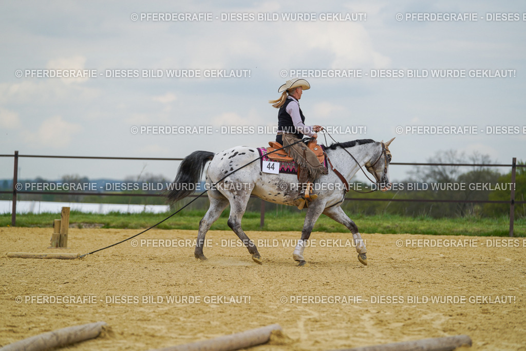 DSC07052 | Pferdegrafie