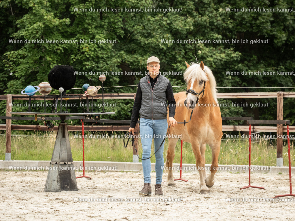 598A6590 | photographylinaismer - Realisiert mit Pictrs.com