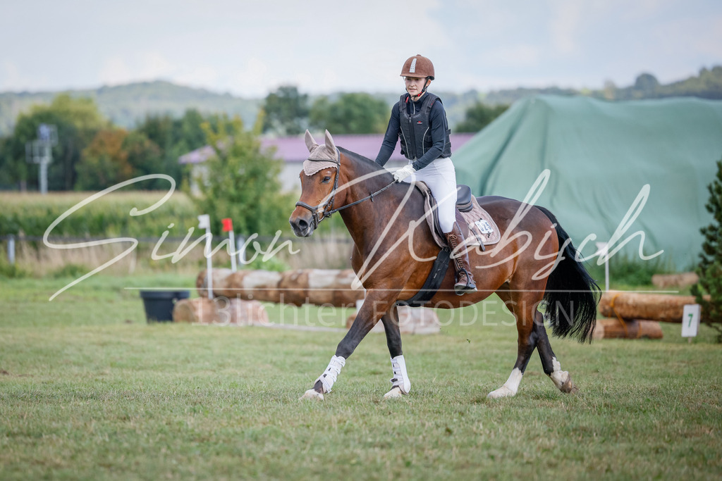20250905-_3LI1692 | Tierfotografie Pferde, Hunde, Katzen, Haustiere.
Turnierfotografie Reitturniere, Reiten, Springreiten, Dressur in Hanau, dem Main-Kinzig-Kreis und dem Rhein-Main- Gebiet um Frankfurt