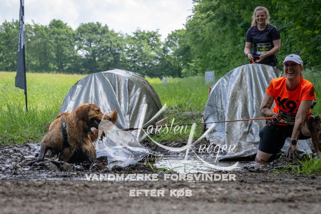 1145_ZZ94377 | kk-dogfotos