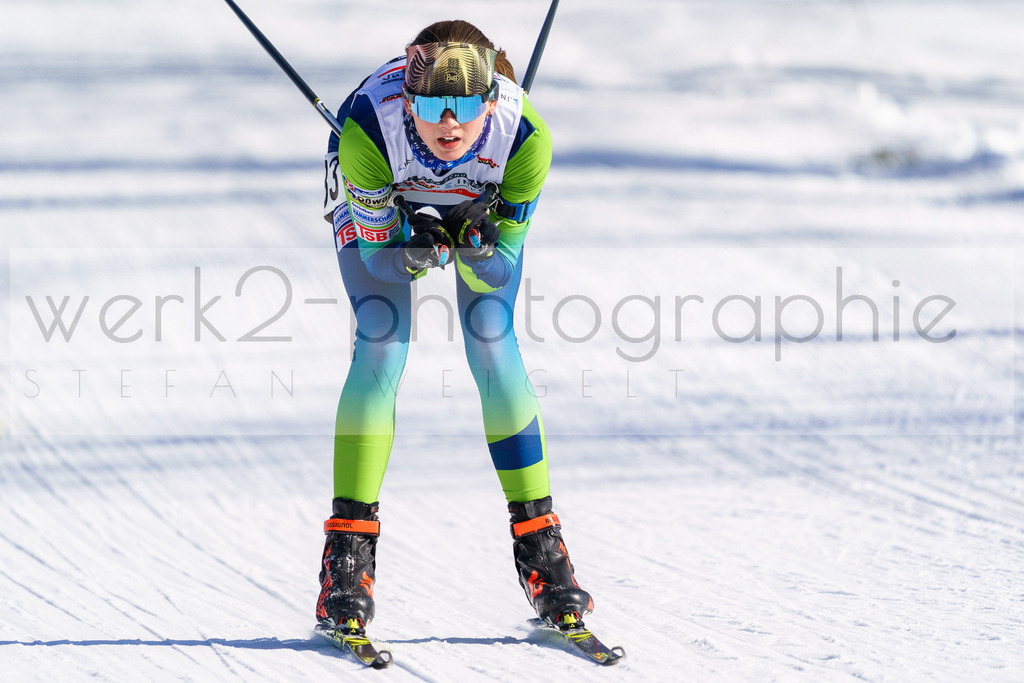 DSC Arber | Bayerischer Wald am 9. bis 12. Februar 2023
