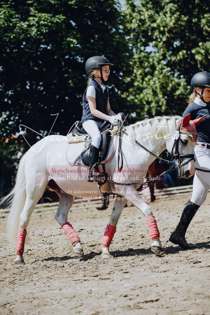 DSC_2558 | Pferde- und Turnierfotografie in Westsachsen. Pferdeportraits, Auftragszeichnungen und intuitive Kunst.