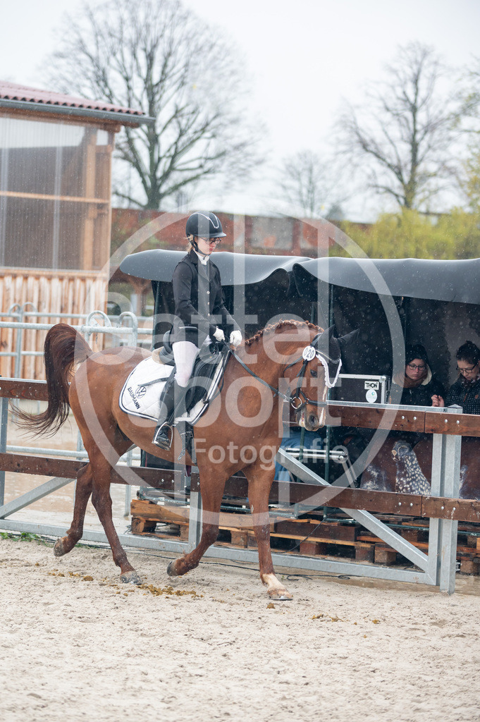 DSC_7097 | sattelsport - Realisiert mit Pictrs.com