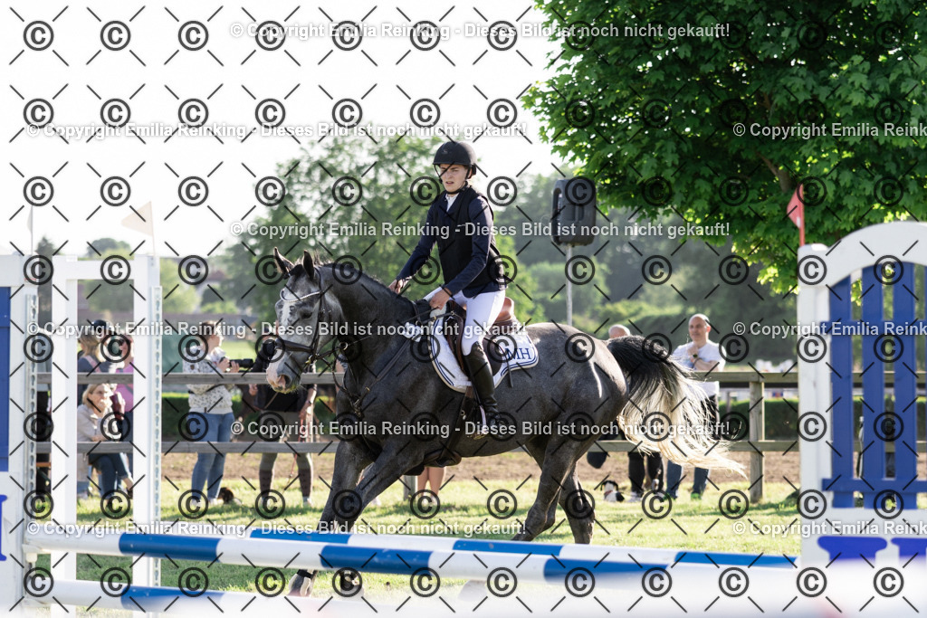 CL5A0530 | Emilia Reinking Fotografie - Realisiert mit Pictrs.com