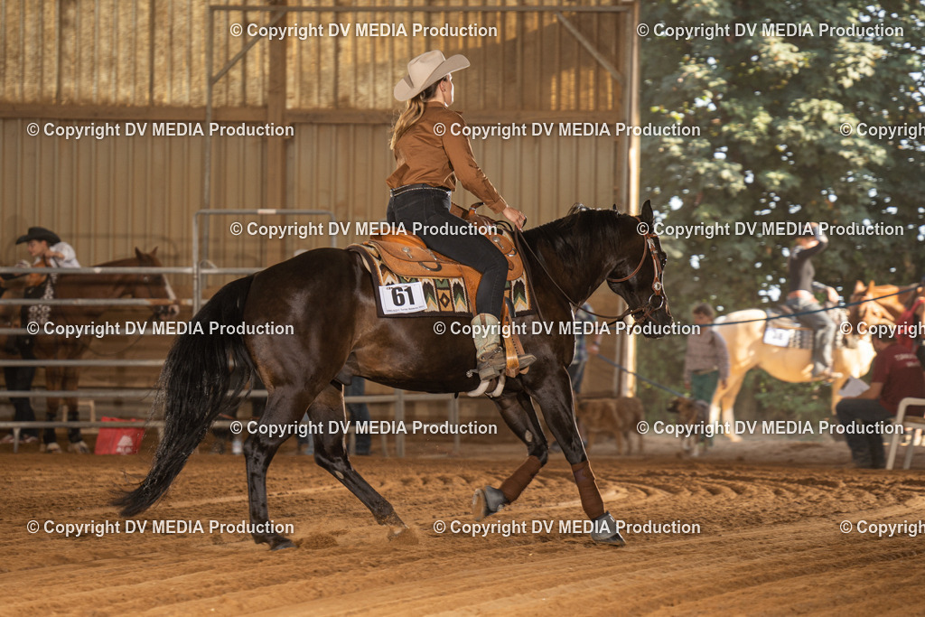 NID03791 | dv-media-shop - Realisiert mit Pictrs.com