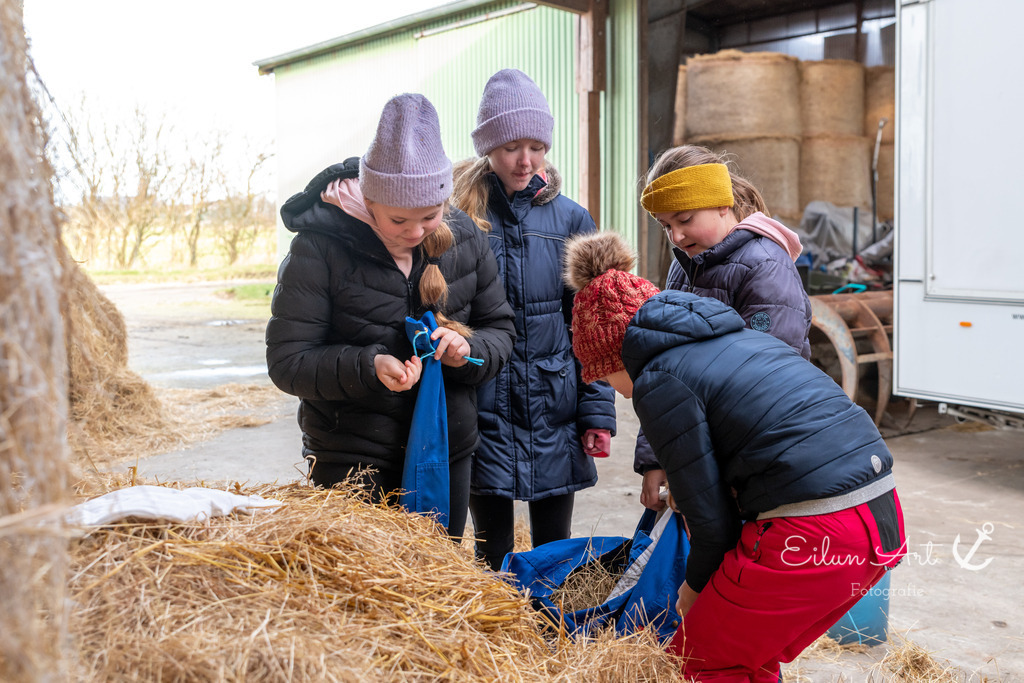 EAF_2164 | Eilun-Art-Fotografie Levke Martens, ihre Fotografin für Immobilien- und Landschaftsfotografie auf Föhr, Föhrer Motive als Poster, Leinwand, hinter Acrylglas oder stelle dir deinen eigenen Monatskalender zusammen, mit nur einem Klick