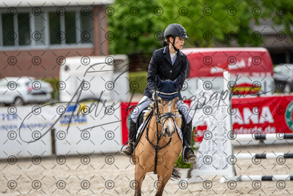 KPT_6922 | andre_photographic