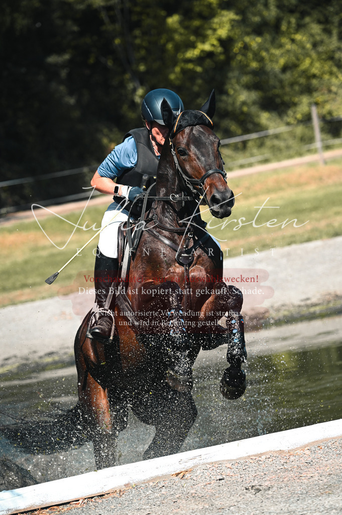 DSC_8502 | Pferde- und Turnierfotografie in Westsachsen. Pferdeportraits, Auftragszeichnungen und intuitive Kunst.