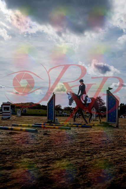 2026_10_03_Siefer-Hof_145808_Z63_05981964 | Professionelle Reitsport-, Turnier- und Eventfotografie von Robert Broda. Galerien mit ausgewählten und bearbeiteten Bildern direkt online ansehen und bestellen.
