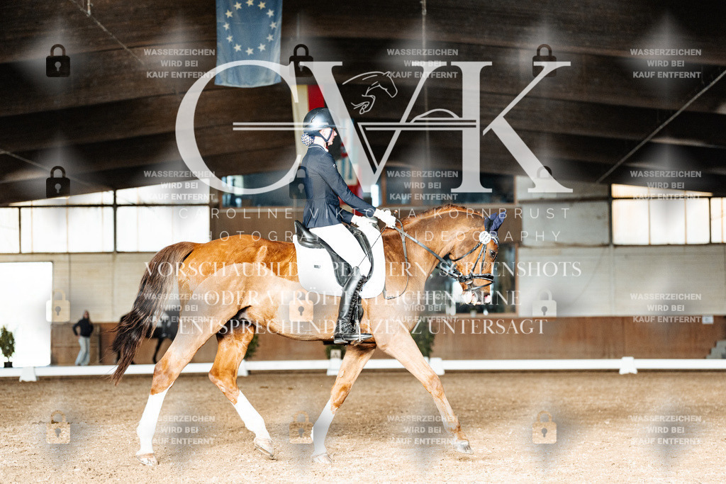 CK903255 | Turnierfotografie Pferdefotografie Trier Rheinland-Pfalz Pferdesport Reitsport Tierfotografie Sportfotografie Pferdevideo Pferdevideografie Equestrianvideography equestrianphotography  - Realisiert mit Pictrs.com