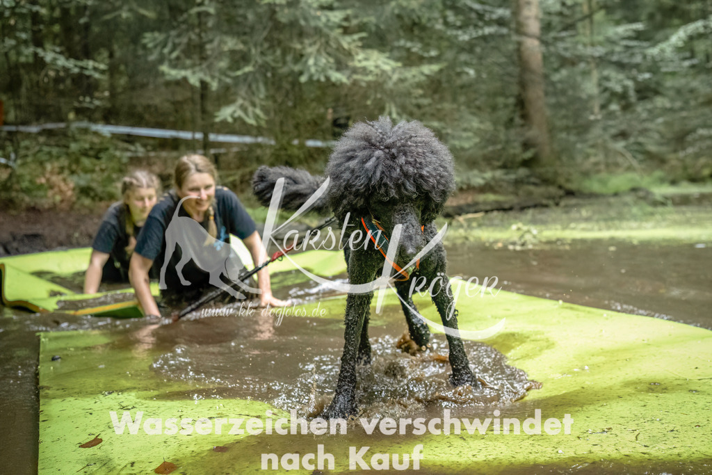 1432_ZZ92704-Bearbeitet | kk-dogfotos