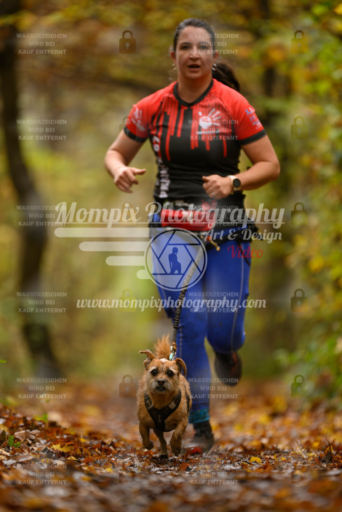 MompixPhotography_CD7S_DI_CCL-84 | mompixphotography