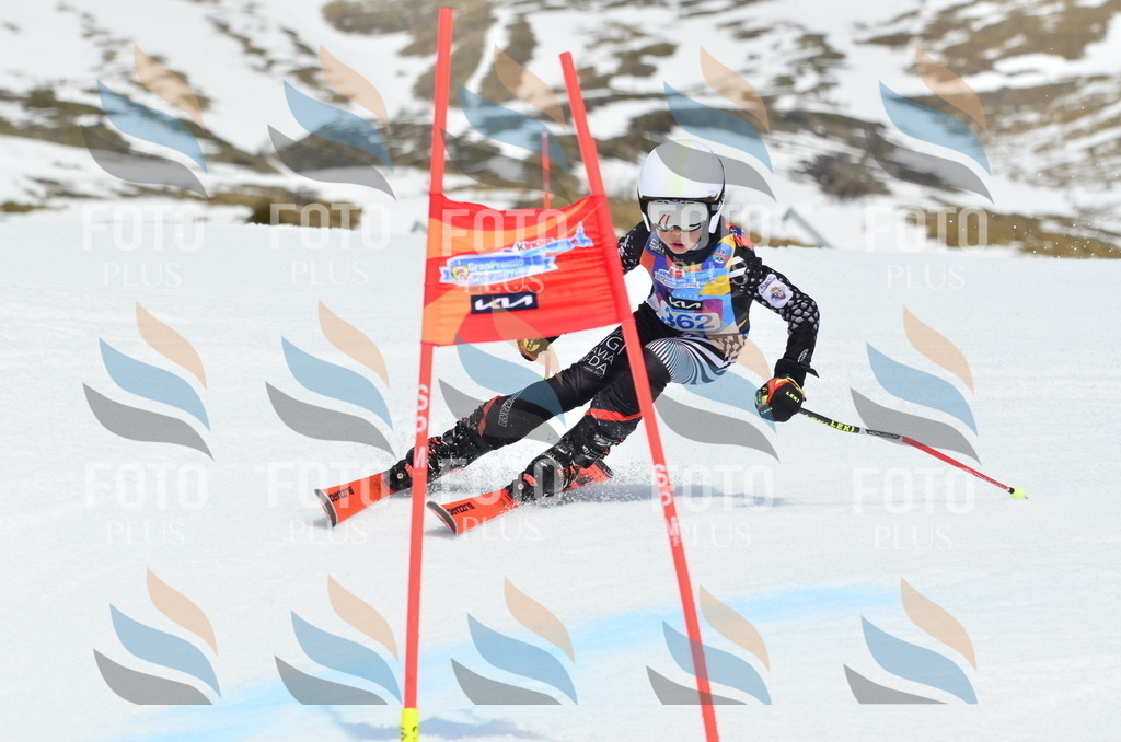 _ELE2886 | holidayphoto