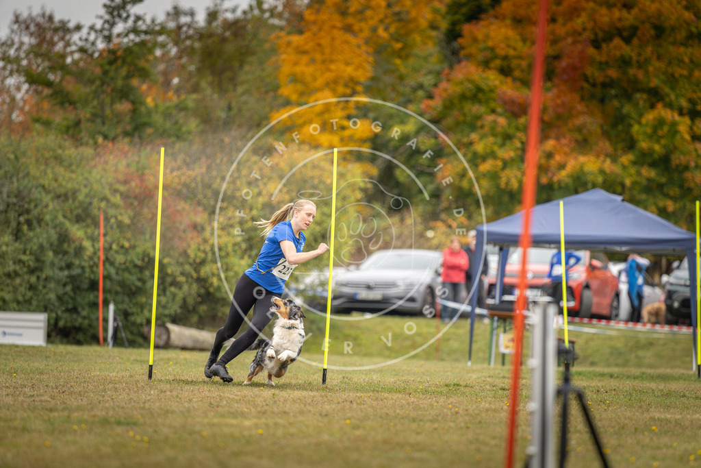 Pfotenfotografie_DV3A4003 | Hundefotografie, Tierfotograf, Pfotenfotografie, Fotoshooting Hund, Hunde Portrait, Hundesport, Hundeportraits, Heideshooting, Hunde, Sportfotograf, Hundefotograf, Turnierhundsport, THS,  - Realisiert mit Pictrs.com