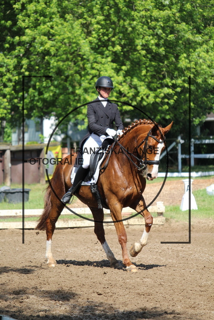 IMG_7152 | franziskalange - Realisiert mit Pictrs.com