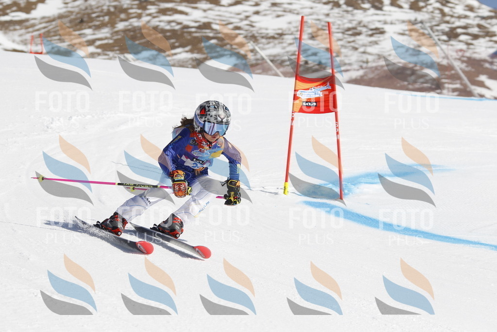 _U3G9098 | holidayphoto