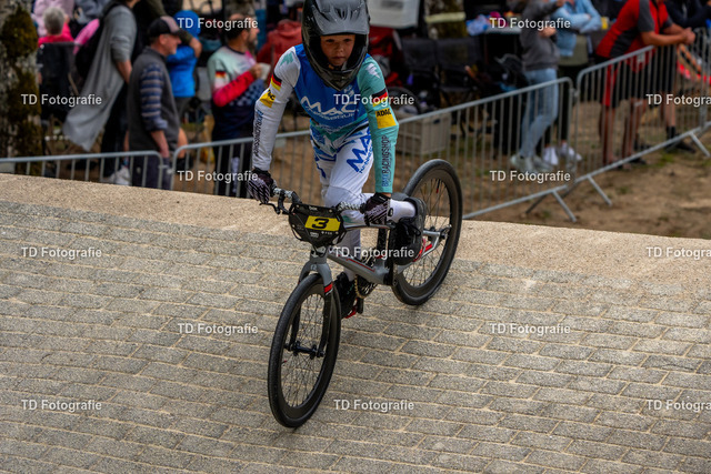 BayBMX2026-05534 | Fotogalerie von Thomas Dettweiler mit Eventbildern und lizenzfreien Fotos. Perfekt als Wandbild, für Büro, Website oder private Nutzung. - Realisiert mit Pictrs.com
