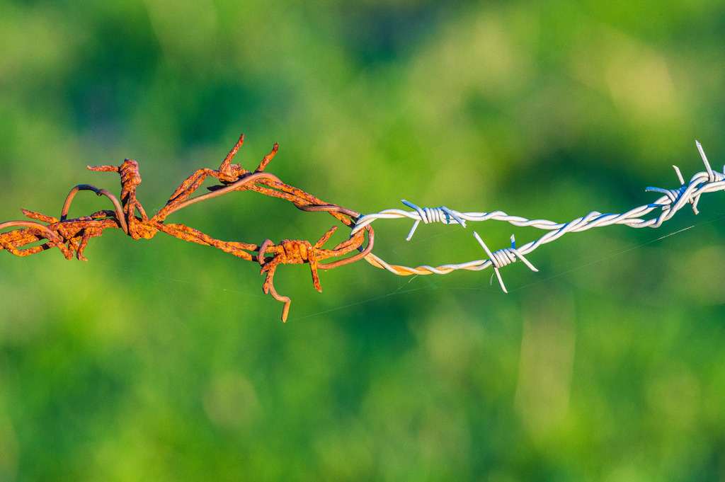 2022_04_17_DSC1524 Kopie | Hochwertig gedruckte Fotografien für die Wand, als Kalender und zum Verschenken. Hamburg & Norddeutschland und überall wo ich mit der Kamera unterwegs war.