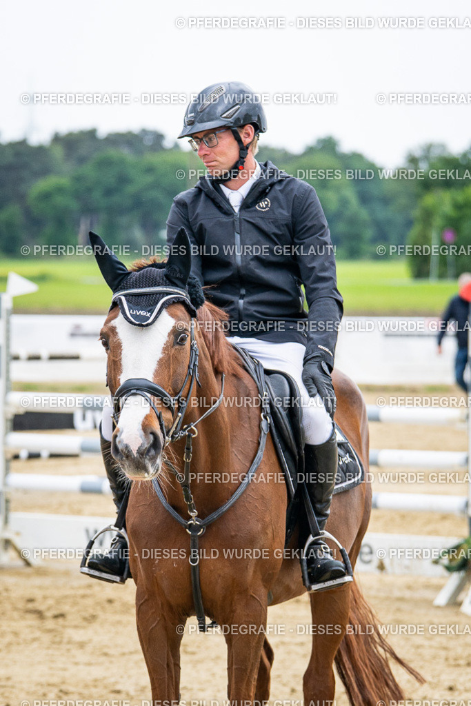 DSC06487 | Pferdegrafie