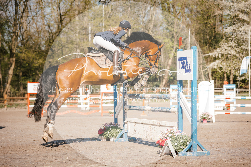 3I6A3749 | Stimmungsvolle Portraits und Reitsportfotografie im Ruhrgebiet und im Münsterland.

Pferdefotografie, Hundefotografie, Tierfotografie, Reportagen, Portraits von Tier und Mensch, Turnierfotografie in Bochum, Recklinghausen, Marl, Haltern am See, Dülmen.. - Realisiert mit Pictrs.com