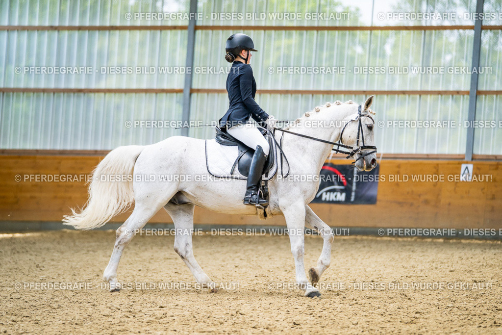 DSC04160 | Pferdegrafie