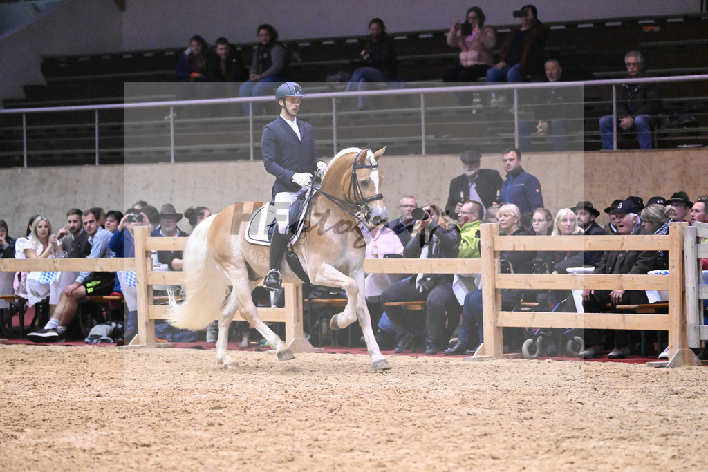 Schauprogramm_54222607 | hf-fotografie - Realisiert mit Pictrs.com