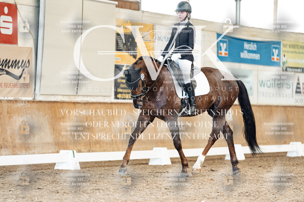 CK909552 | Turnierfotografie Pferdefotografie Trier Rheinland-Pfalz Pferdesport Reitsport Tierfotografie Sportfotografie Pferdevideo Pferdevideografie Equestrianvideography equestrianphotography  - Realisiert mit Pictrs.com