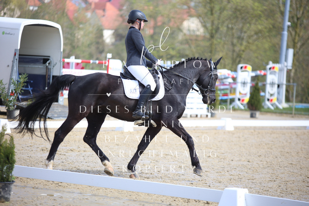 IMGT4684 | pl-fotografie