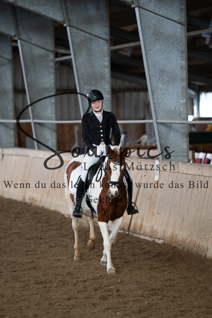 A7V04886 | Pferdefotograf