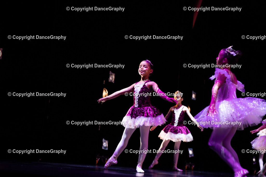 GPHY5245 | DanceGraphy - Realisiert mit Pictrs.com