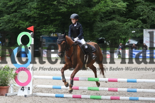 Ichenheim_2024_Prfg.Nr.26_Stilspring-WB_60cm_Samuel Weingärtner_Henriette PCM (6) | Alle Fotos der Reiterjournal Fotografin Doris Matthaes im Reiterjournal Online-Fotoshop. - Realisiert mit Pictrs.com