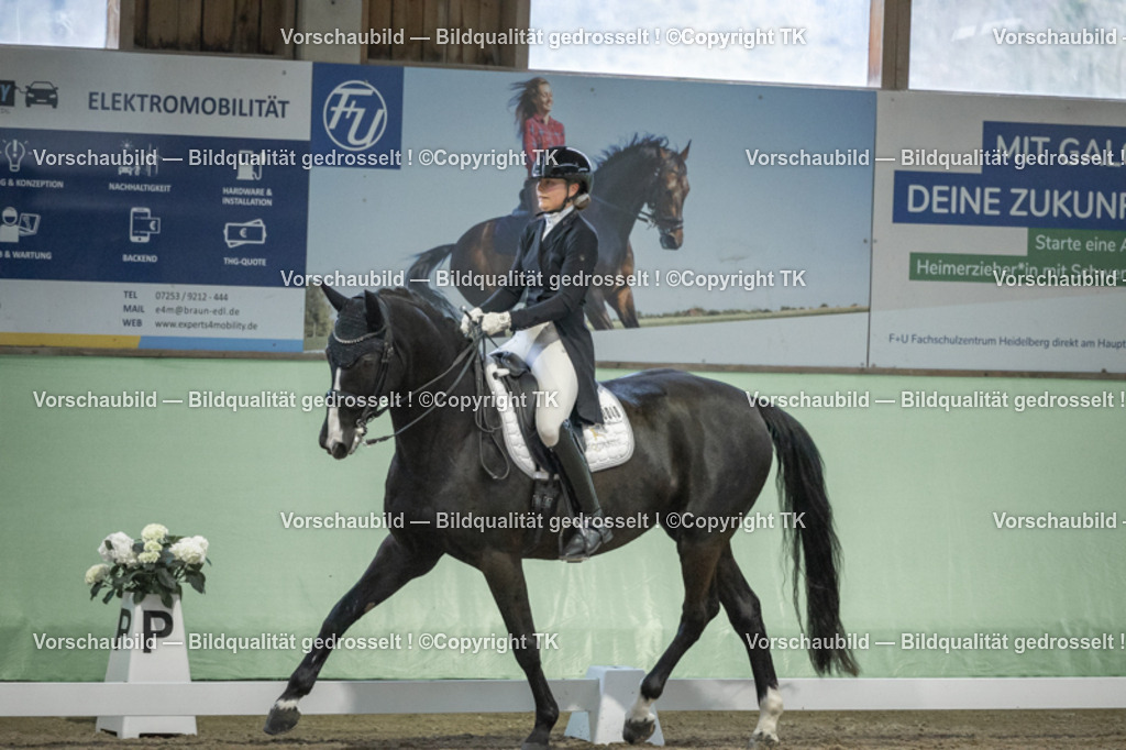 _D5A7087 | Emotionale Pferde- & People-Fotografie rund um Heidelberg, Leimen & Umgebung. Natürliche Fotos von Pferd, Mensch & Familie. Jetzt Termin sichern!