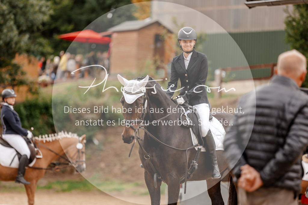 3I6A8285 | Stimmungsvolle Portraits und Reitsportfotografie im Ruhrgebiet und im Münsterland.

Pferdefotografie, Hundefotografie, Tierfotografie, Reportagen, Portraits von Tier und Mensch, Turnierfotografie in Bochum, Recklinghausen, Marl, Haltern am See, Dülmen.. - Realisiert mit Pictrs.com