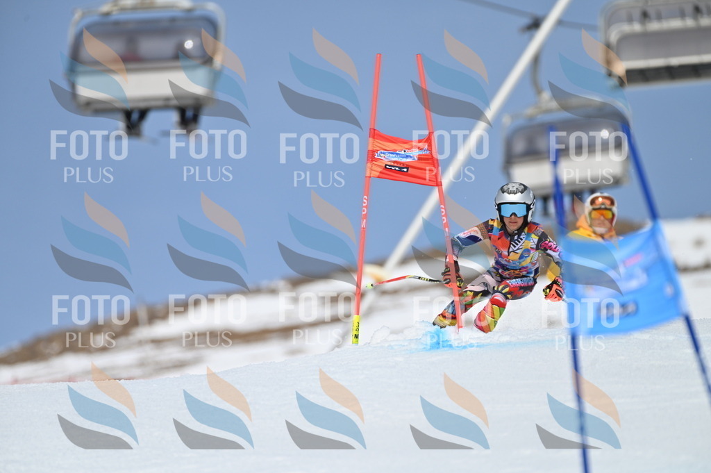 BGV_0993 | holidayphoto