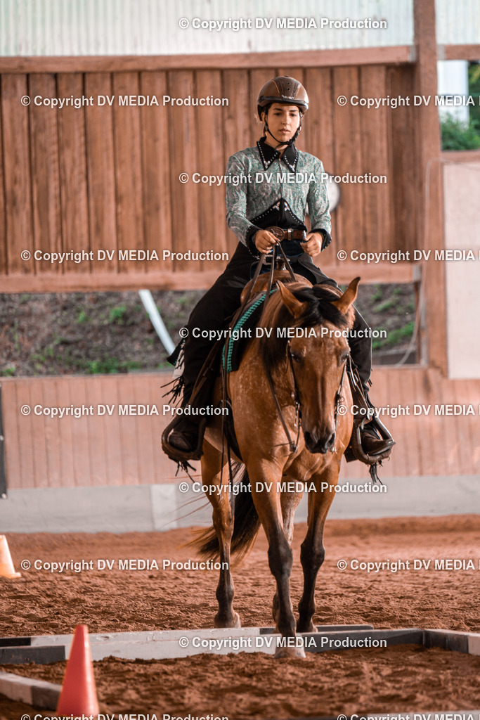 NE300071 | dv-media-shop - Realisiert mit Pictrs.com