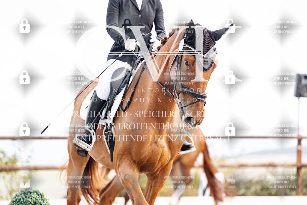 CK900679 | Turnierfotografie Pferdefotografie Trier Rheinland-Pfalz Pferdesport Reitsport Tierfotografie Sportfotografie Pferdevideo Pferdevideografie Equestrianvideography equestrianphotography  - Realisiert mit Pictrs.com