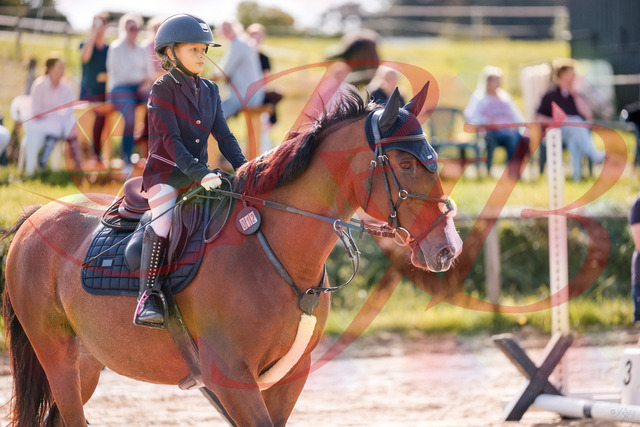 2026_10_03_Siefer-Hof_143840_Z81_09273004 | Professionelle Reitsport-, Turnier- und Eventfotografie von Robert Broda. Galerien mit ausgewählten und bearbeiteten Bildern direkt online ansehen und bestellen.