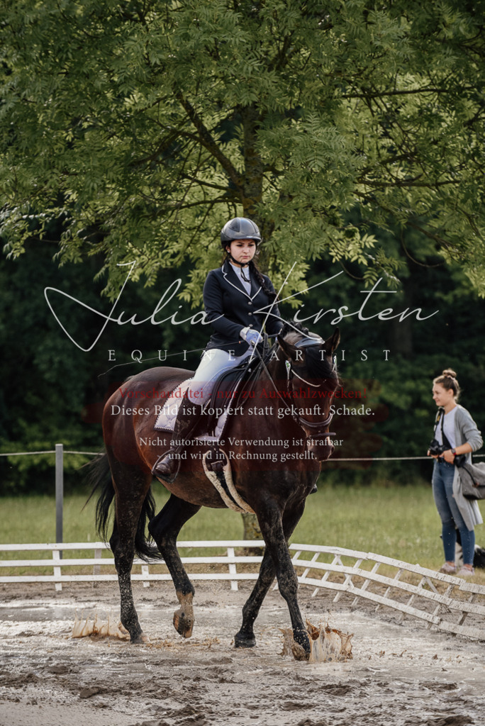 DSC_8572 | Pferde- und Turnierfotografie in Westsachsen. Pferdeportraits, Auftragszeichnungen und intuitive Kunst.