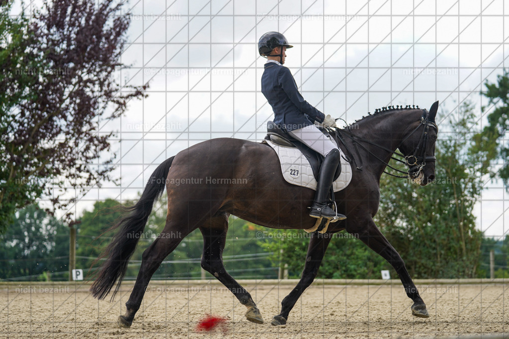 20230826-FAH05859 | Forstinning, 2023, Dressurturnier, Turniersportbilder, Turnierfotografen Bayern, Fotoagentur Herrmann, Reitsportfotografie, Turnierbilder