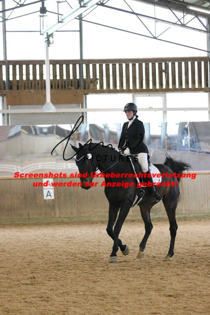 IMG_6915 | lmwpictures - Realisiert mit Pictrs.com