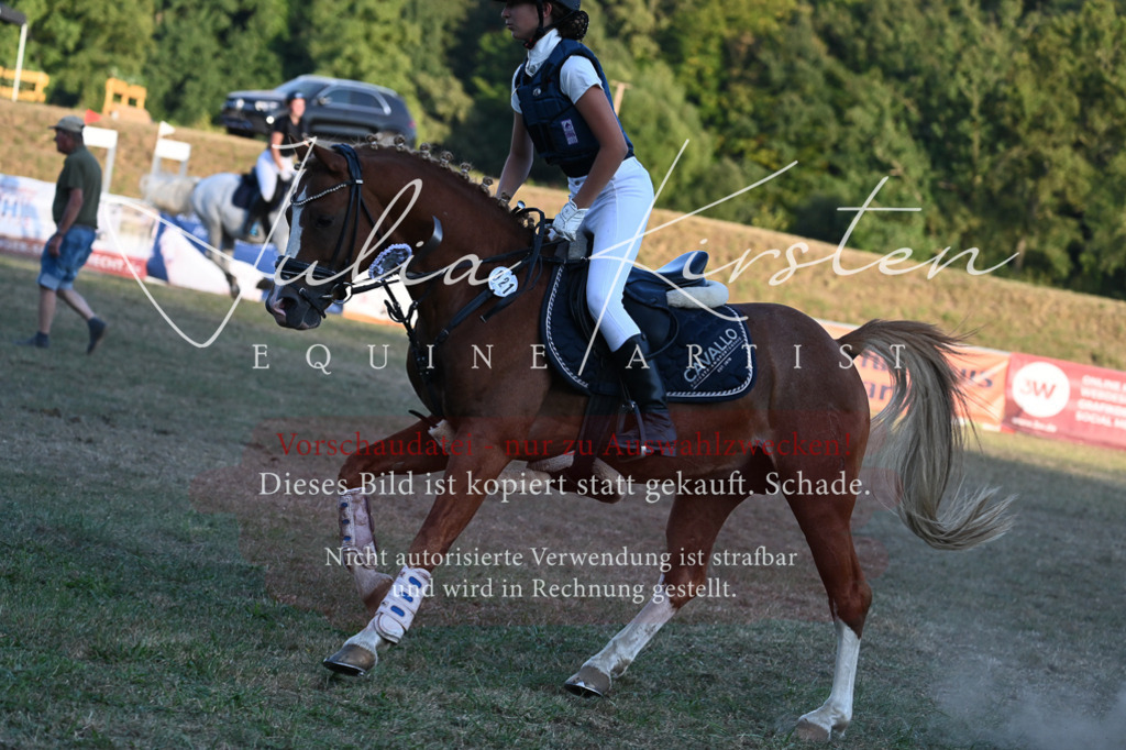 DSC_9296 | Pferde- und Turnierfotografie in Westsachsen. Pferdeportraits, Auftragszeichnungen und intuitive Kunst.