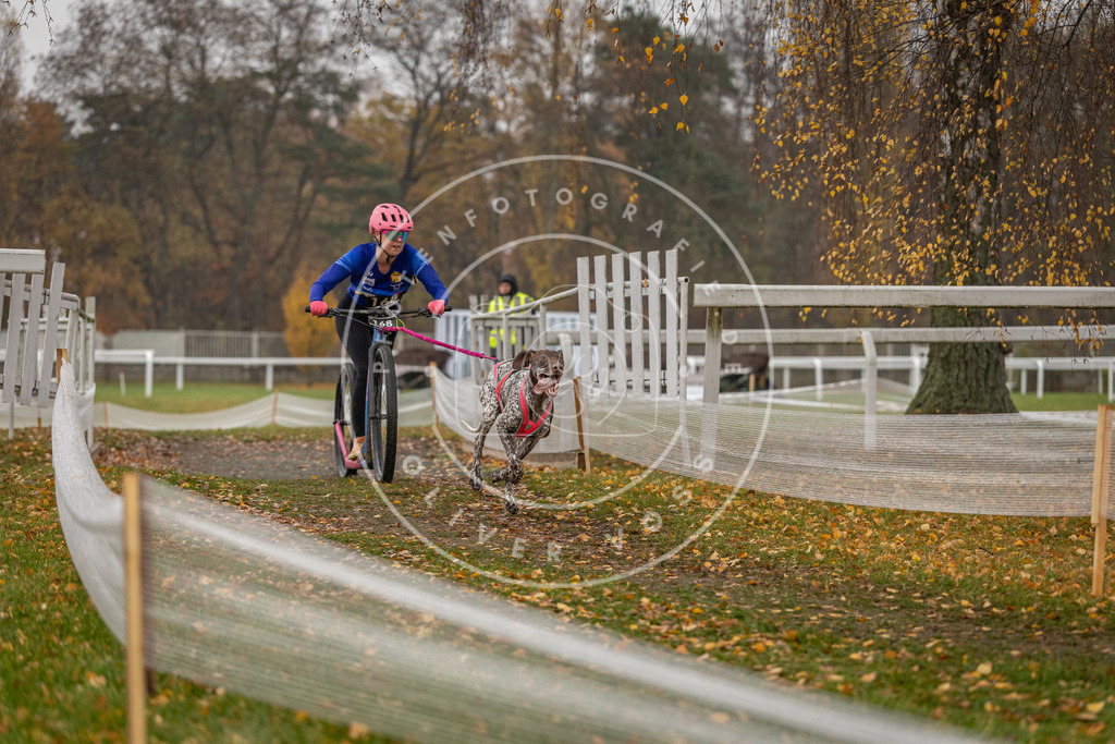CaniXpix_DV3A8187 | Hundefotografie, Tierfotograf, Pfotenfotografie, Fotoshooting Hund, Hunde Portrait, Hundesport, Hundeportraits, Heideshooting, Hunde, Sportfotograf, Hundefotograf, Turnierhundsport, THS,  - Realisiert mit Pictrs.com