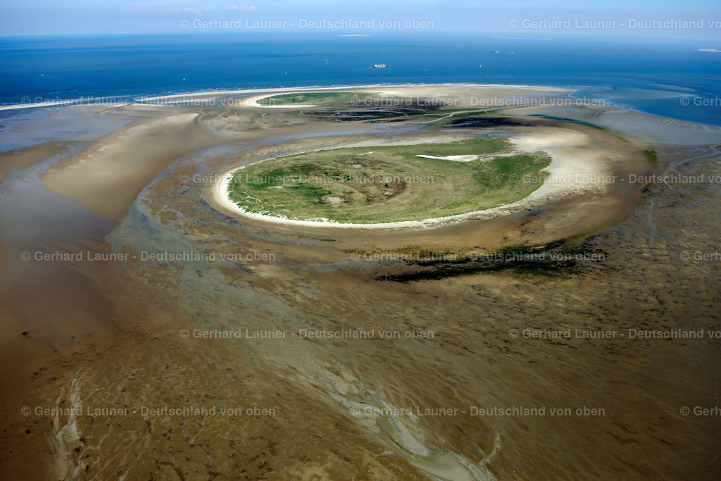3090400 | Scharhörn Nationalpark Hamburgisches Wattenmeer