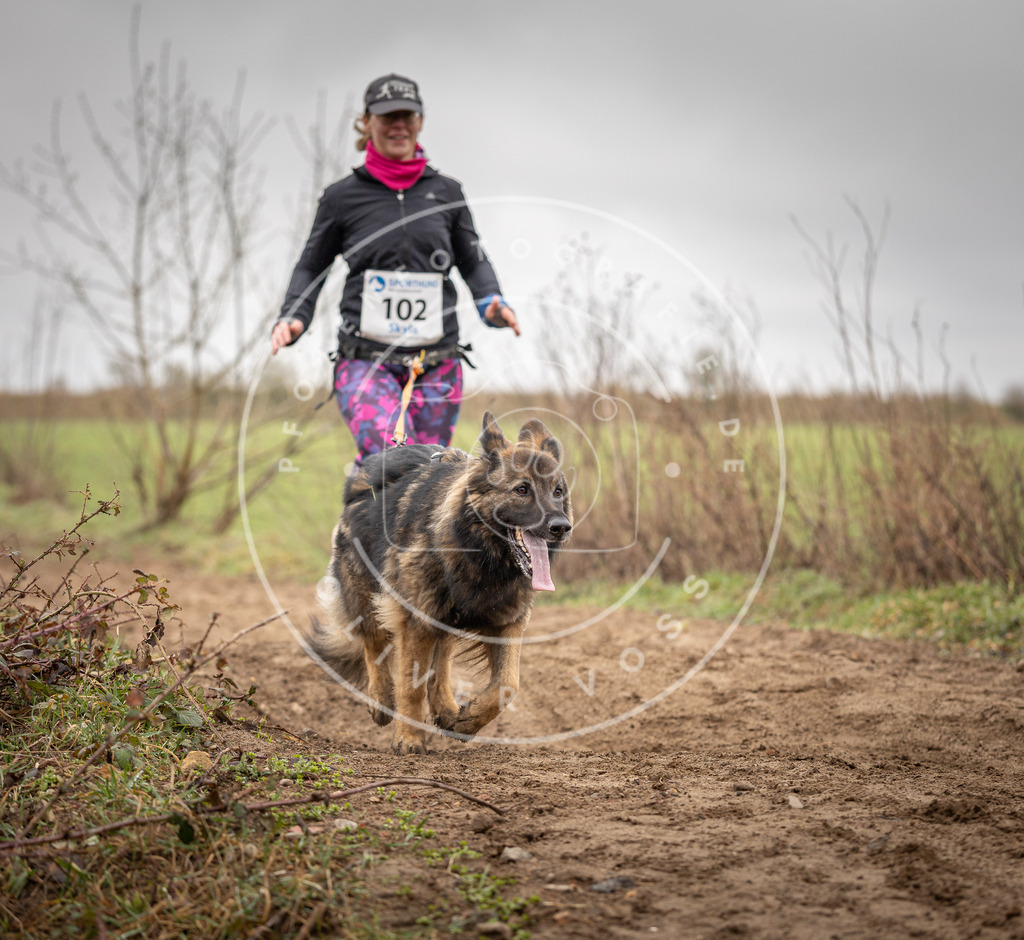 DV3A0176 | Hundefotografie, Tierfotograf, Pfotenfotografie, Fotoshooting Hund, Hunde Portrait, Hundesport, Hundeportraits, Heideshooting, Hunde, Sportfotograf, Hundefotograf, Turnierhundsport, THS,  - Realisiert mit Pictrs.com
