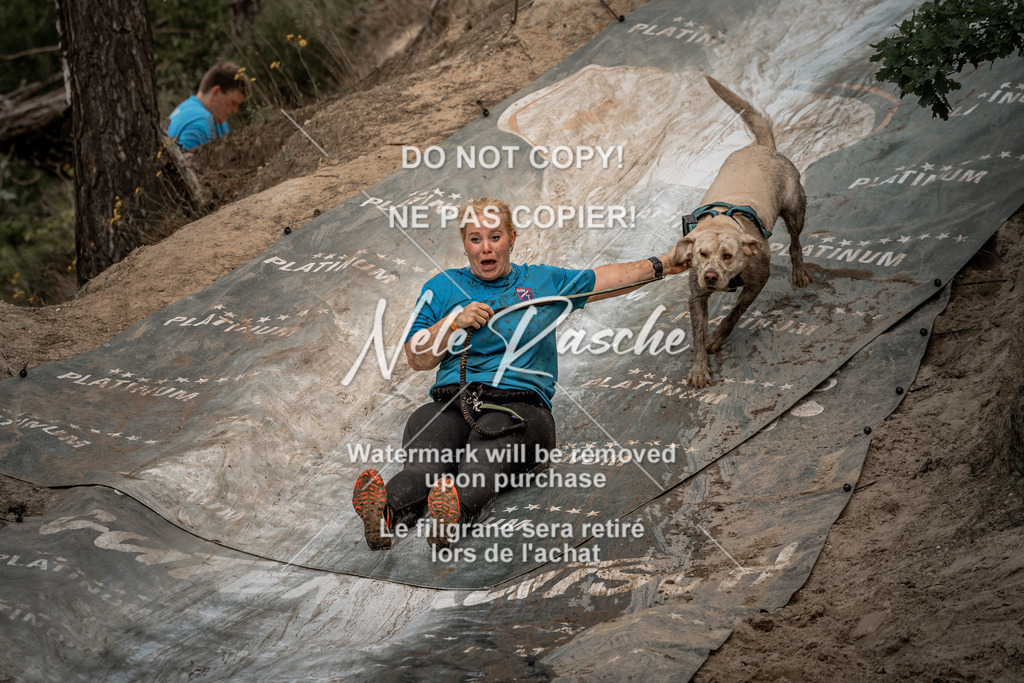 nelerasche_sa1345-1430_01 | nelerasche