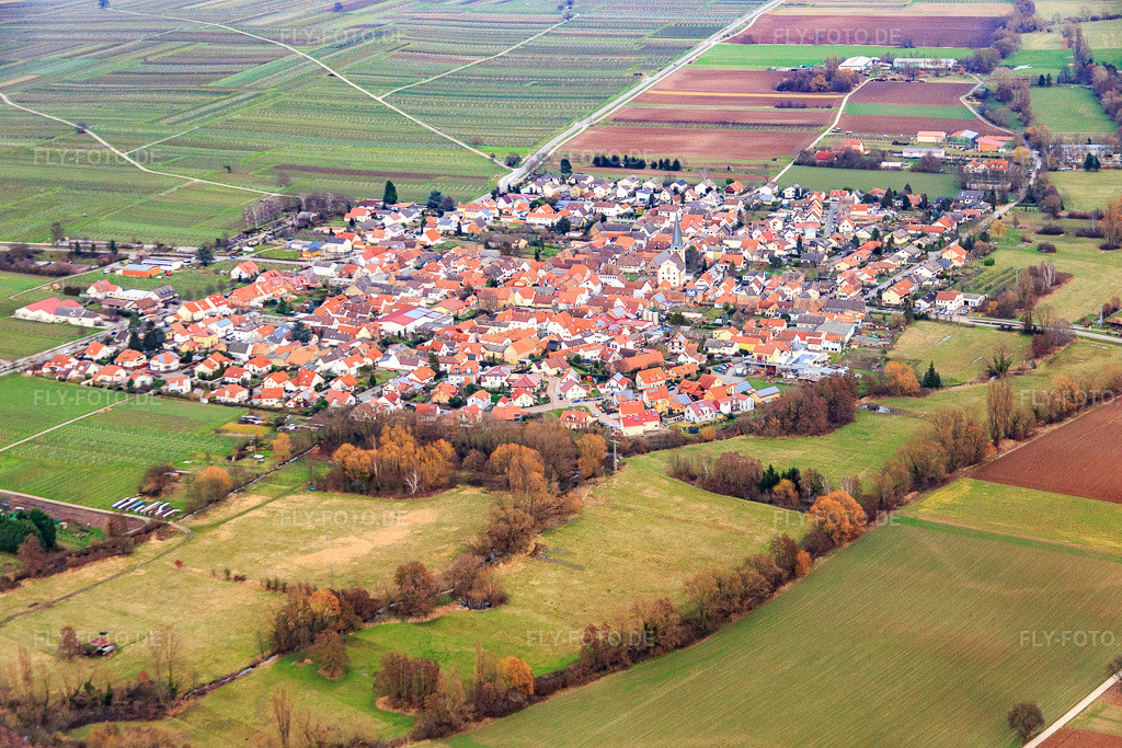 Luftbild: Dorfansicht aus Westen in Venningen im Bundesland Rheinland-Pfalz in Deutschland. Foto: IMG_086163.jpg vom 12.02.2016 durch Werner Riehm/FLY-FOTO.de