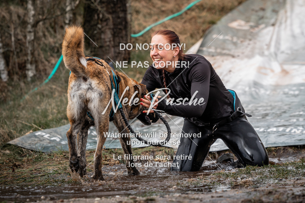 nelerasche_1430-1500_186 | nelerasche